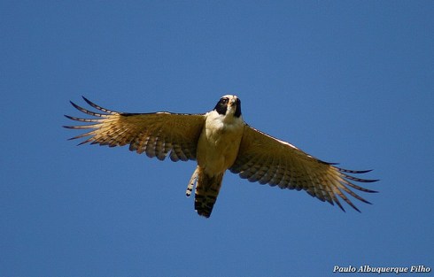 2651229217_3706baf28c_z