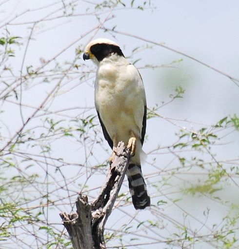 4495168348_f7be11ede1_o