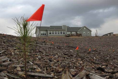 1794577_733948516630226_1862585834_n