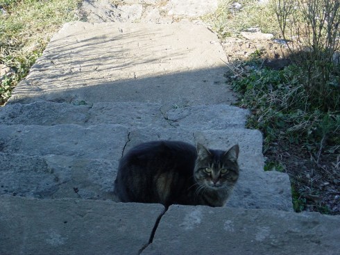 Belial having just moved from the mountain in December of 2006.