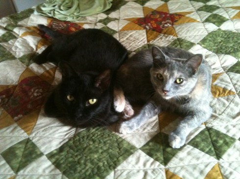 Within two weeks, Oki and Grendel were close friends.